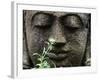 Stone Garden Statue with Flower-Matt Freedman-Framed Photographic Print