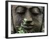 Stone Garden Statue with Flower-Matt Freedman-Framed Photographic Print