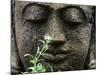 Stone Garden Statue with Flower-Matt Freedman-Mounted Photographic Print