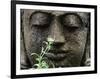 Stone Garden Statue with Flower-Matt Freedman-Framed Photographic Print