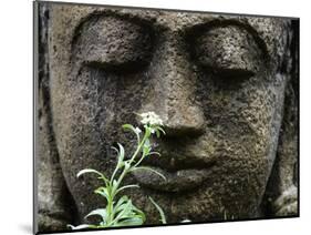 Stone Garden Statue with Flower-Matt Freedman-Mounted Photographic Print