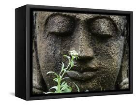 Stone Garden Statue with Flower-Matt Freedman-Framed Stretched Canvas