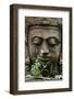 Stone Garden Statue with Flower-Matt Freedman-Framed Photographic Print