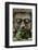 Stone Garden Statue with Flower-Matt Freedman-Framed Photographic Print