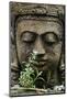 Stone Garden Statue with Flower-Matt Freedman-Mounted Photographic Print