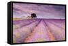 Stone House in Lavender Field-Michael Blanchette-Framed Stretched Canvas