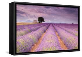 Stone House in Lavender Field-Michael Blanchette-Framed Stretched Canvas