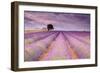 Stone House in Lavender Field-Michael Blanchette-Framed Photographic Print