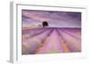 Stone House in Lavender Field-Michael Blanchette-Framed Photographic Print