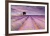 Stone House in Lavender Field-Michael Blanchette-Framed Photographic Print