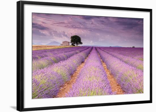 Stone House in Lavender Field-Michael Blanchette-Framed Photographic Print