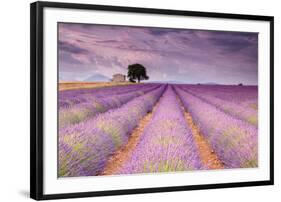 Stone House in Lavender Field-Michael Blanchette-Framed Photographic Print