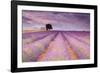 Stone House in Lavender Field-Michael Blanchette-Framed Photographic Print