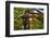 Stone lantern and Torii gate in Fushimi Inari Shrine, Kyoto, Japan-Keren Su-Framed Photographic Print