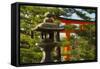 Stone lantern and Torii gate in Fushimi Inari Shrine, Kyoto, Japan-Keren Su-Framed Stretched Canvas