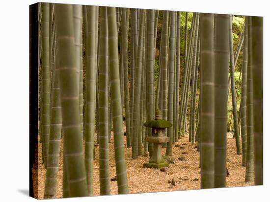 Stone Lantern, Bamboo Forest, Kamakura City, Kanagawa Prefecture, Honshu Island, Japan-Christian Kober-Stretched Canvas