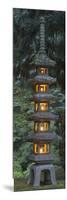 Stone Lantern Illuminated with Candles, Portland Japanese Garden, Oregon, USA-William Sutton-Mounted Photographic Print