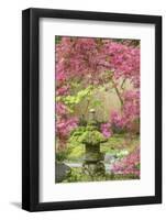Stone lantern, Portland Japanese Garden, Oregon.-William Sutton-Framed Photographic Print