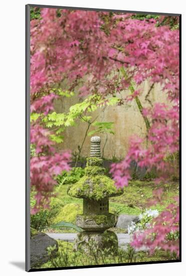 Stone lantern, Portland Japanese Garden, Oregon.-William Sutton-Mounted Photographic Print