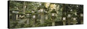 Stone Lanterns, Kasuga Taisha, Nara, Japan-null-Stretched Canvas