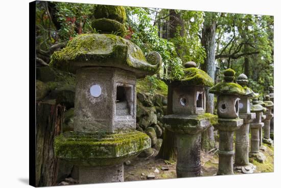 Stone Lanterns, Nara, Kansai, Japan, Asia-Michael Runkel-Stretched Canvas