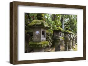 Stone Lanterns, Nara, Kansai, Japan, Asia-Michael Runkel-Framed Photographic Print