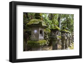 Stone Lanterns, Nara, Kansai, Japan, Asia-Michael Runkel-Framed Photographic Print
