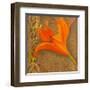 Stone Lily-Courtland-Framed Art Print