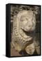 Stone Lion at Temple of Apollo, Didyma, Anatolia, Turkey, Asia Minor, Eurasia-Neil Farrin-Framed Stretched Canvas