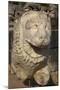 Stone Lion at Temple of Apollo, Didyma, Anatolia, Turkey, Asia Minor, Eurasia-Neil Farrin-Mounted Photographic Print
