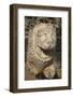 Stone Lion at Temple of Apollo, Didyma, Anatolia, Turkey, Asia Minor, Eurasia-Neil Farrin-Framed Photographic Print