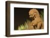 Stone Lion at the Gate of Heavenly Peace-Paul Souders-Framed Photographic Print