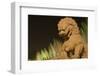 Stone Lion at the Gate of Heavenly Peace-Paul Souders-Framed Photographic Print