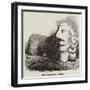 Stone Lion from Kertch-null-Framed Giclee Print