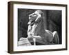 Stone Lion in Front of the New York Public Library-Alfred Eisenstaedt-Framed Photographic Print