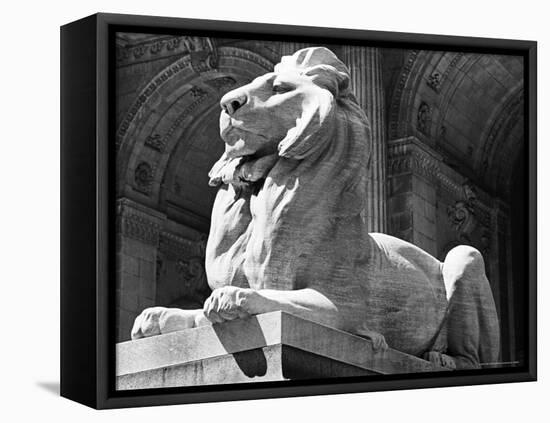 Stone Lion in Front of the New York Public Library-Alfred Eisenstaedt-Framed Stretched Canvas