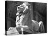 Stone Lion in Front of the New York Public Library-Alfred Eisenstaedt-Stretched Canvas