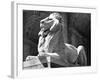 Stone Lion in Front of the New York Public Library-Alfred Eisenstaedt-Framed Photographic Print