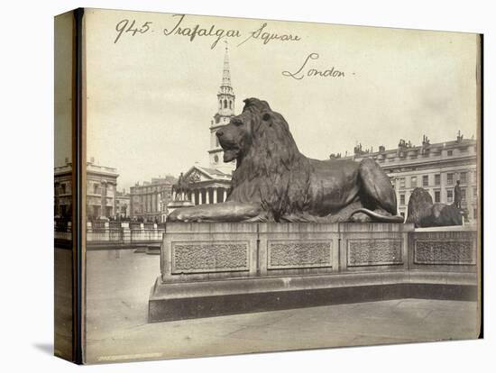 Stone Lion, Trafalgar Square, London, 19th Century-Francis Frith-Stretched Canvas