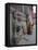 Stone Lions Guard a Prayer Wall in Durbar Square, Kathmandu, Nepal, Asia-Mark Chivers-Framed Stretched Canvas