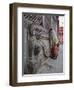 Stone Lions Guard a Prayer Wall in Durbar Square, Kathmandu, Nepal, Asia-Mark Chivers-Framed Photographic Print