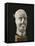 Stone Male Head from Entremont-null-Framed Stretched Canvas