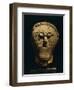 Stone Male Head with Moustache and Collar, from Msecke Zehrovice, Czech Republic-null-Framed Giclee Print