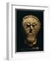 Stone Male Head with Moustache and Collar, from Msecke Zehrovice, Czech Republic-null-Framed Giclee Print