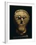 Stone Male Head with Moustache and Collar, from Msecke Zehrovice, Czech Republic-null-Framed Giclee Print