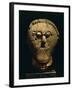 Stone Male Head with Moustache and Collar, from Msecke Zehrovice, Czech Republic-null-Framed Giclee Print