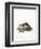 Stone Marten-null-Framed Premium Giclee Print