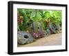 Stone Money Bank, Yap, Micronesia, Pacific-Nico Tondini-Framed Photographic Print