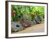 Stone Money Bank, Yap, Micronesia, Pacific-Nico Tondini-Framed Photographic Print
