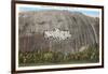 Stone Mountain, Atlanta, Georgia-null-Framed Art Print